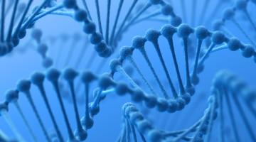 Blue overlay image of DNA, close-up