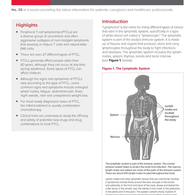 Peripheral T-Cell Lymphoma